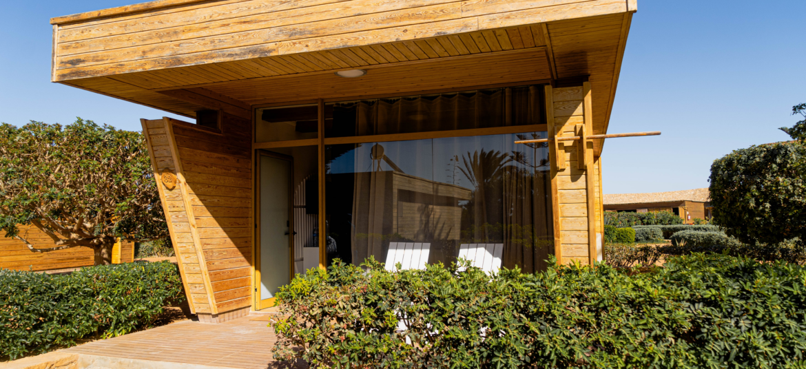 Design sans titre (1) copy 3